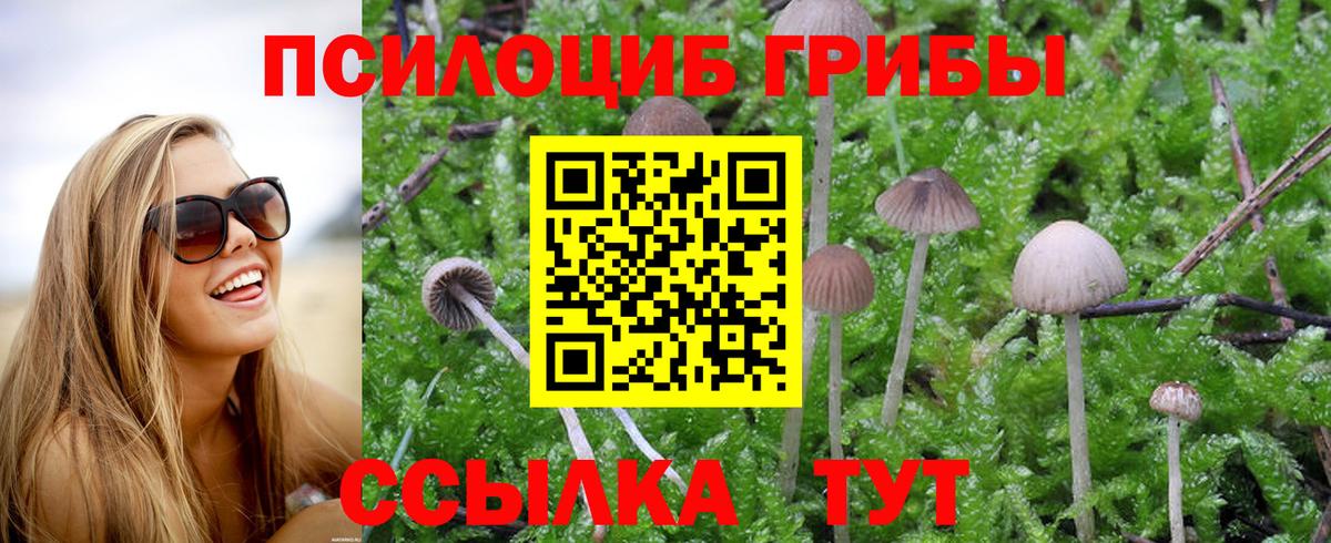 Галлюциногенные грибы Magic Shrooms Чебаркуль